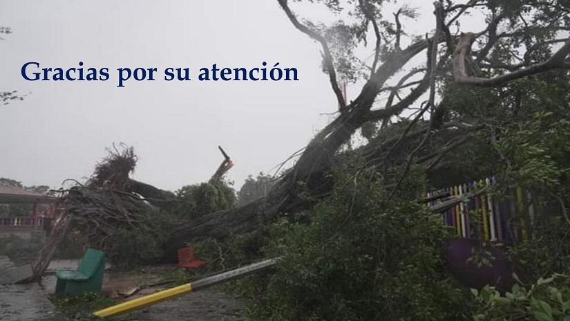 INFORME
